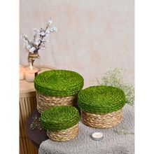 KADAM HAAT Handmade Sabai Gift Box- Green Set of 3