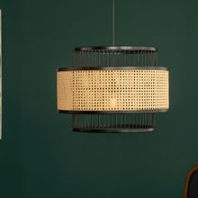 Orange Tree New Canna Black Hanging Lamp