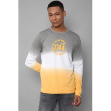 Allen Solly Men Multi Crew Neck Full Sleeves Casual Sweatshirt