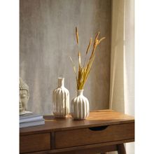 Pure Home + Living Brown Bristle Grass Herb Spray