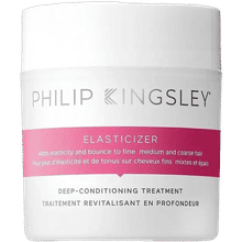 Philip Kingsley Elasticizer