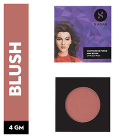 blush palette under 100