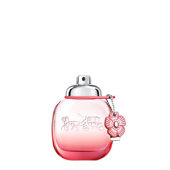 Wristwatch by Ted Baker London