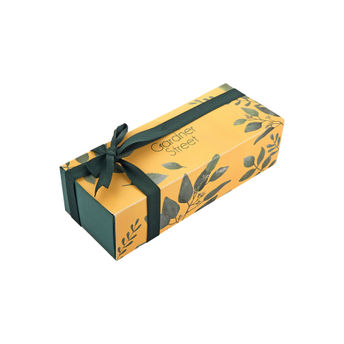 Wristwatch by Ted Baker London