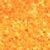 Orange Zest-shade