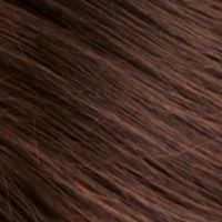 5gm Chocolate Chestnut