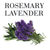 Rosemary Lavender-shade