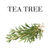 Tea Tree-shade