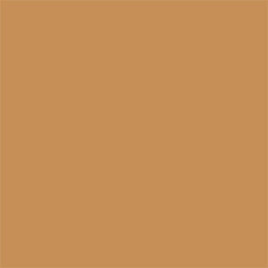 Warm Caramel