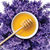 Honey + Lavender-shade
