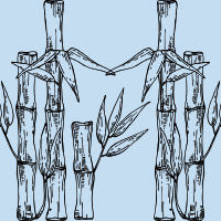 selected icon