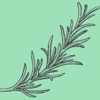 Rosemary Niacinamide