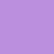 Purple Aster-shade