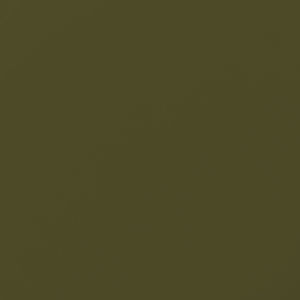 selected icon
