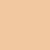 F10 Fair Skin Tone-shade