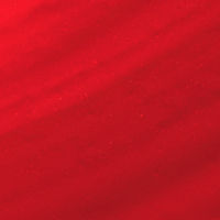 The Indian Bride - 014