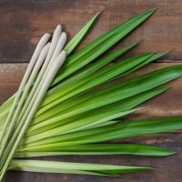 Lemongrass