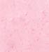 selected icon