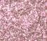 Pop Off Pink