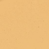 240 Warm Undertone