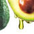 Avocado-shade