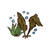 Seaweeds-shade
