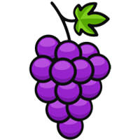 selected icon