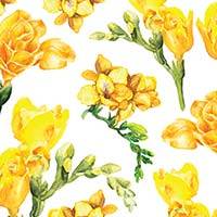 Freesia & Vanilla