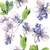 Jasmine & Neroli-shade