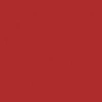 selected icon
