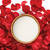 Rose + Goat Milk-shade