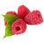 Raspberry-shade