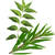 Tea Tree Neem-shade