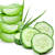 Cucumber Aloevera-shade