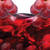 Red Wine And Collagen-shade
