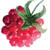 Peptides Superberries-shade