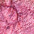 Rose Comet 513-shade