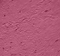 08 Pink Tulip