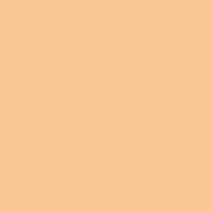 L10 Light Skin Tone