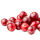 Lingonberry