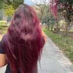 Garnier Color Naturals Ultra Hair Color - 6.26 Plum Red Reviews Online |  Nykaa