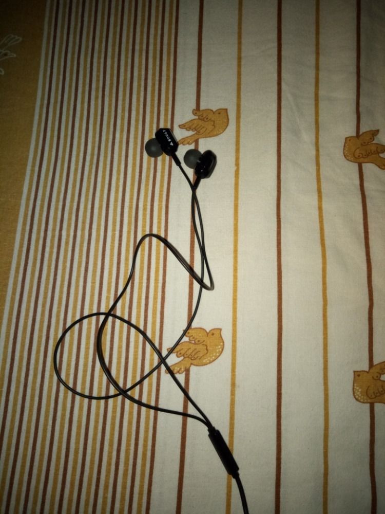 boult x2 earphones