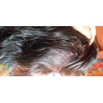 Streax Hair Colour - Walnut Brown (70gm+50ml): Buy Streax Hair Colour - Walnut  Brown (70gm+50ml) Online at Best Price in India | NykaaMan