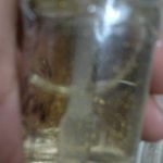 review pic