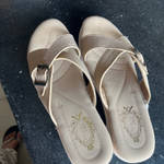 review pic