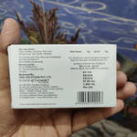 review pic