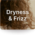 Dryness Frizz