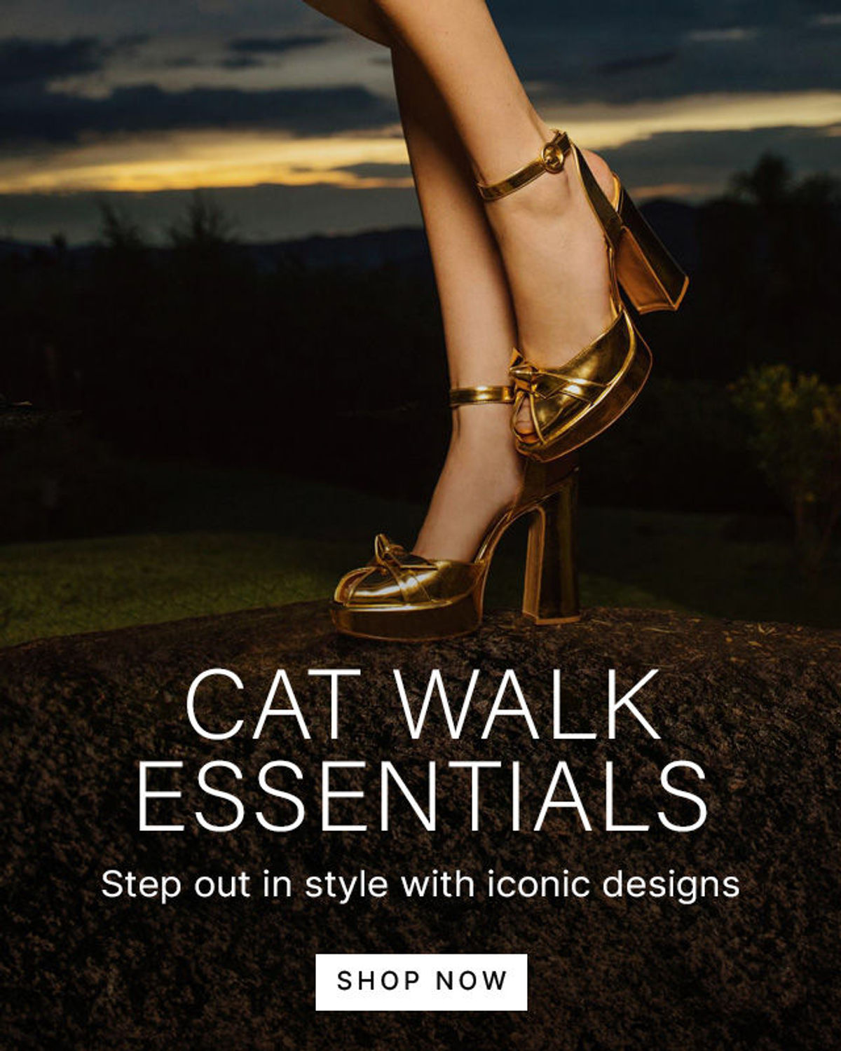 cat-walk-essentials