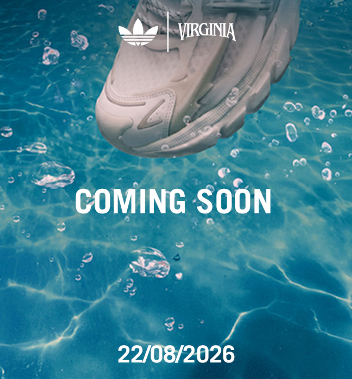 adidas-jellyfish