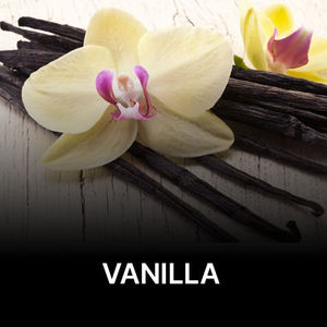 Vanilla